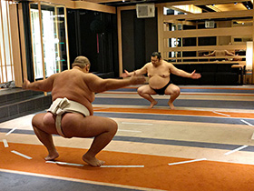 sumo-japan