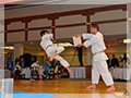 Japanese event KARATE performer