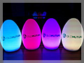 Japanese event EGG light LED